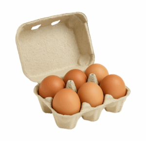 Boîte de 6 œufs